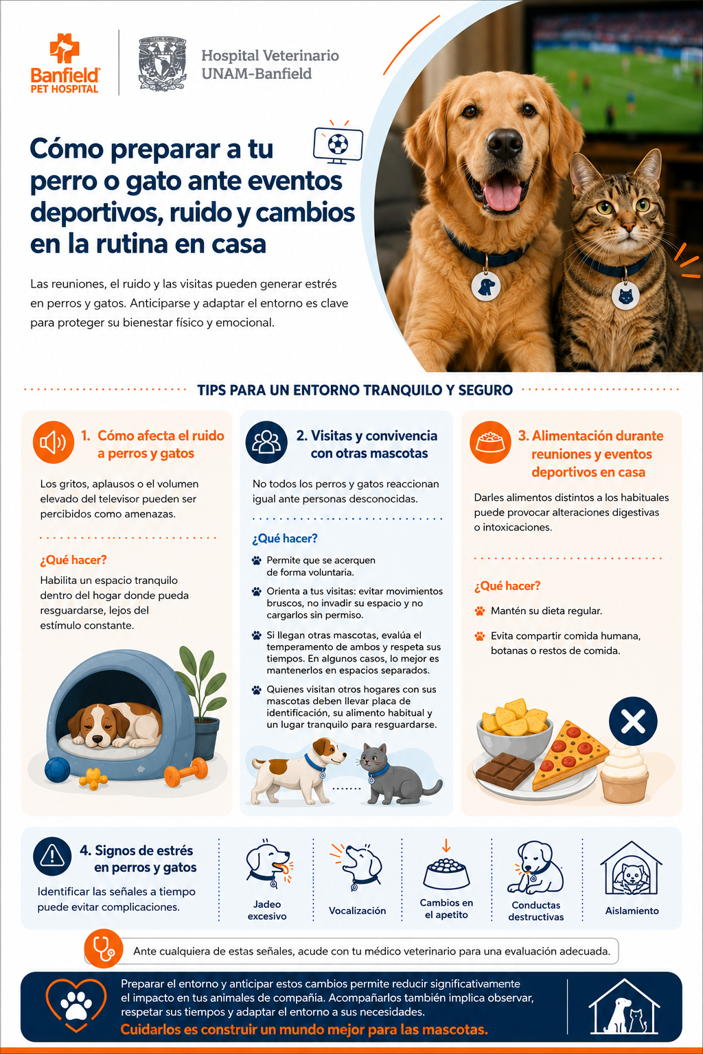 202605_Infografía Mascotas y Eventos deportivos