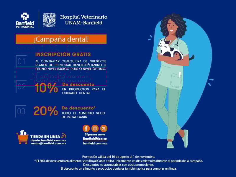 Promocion dental agosto 2025x