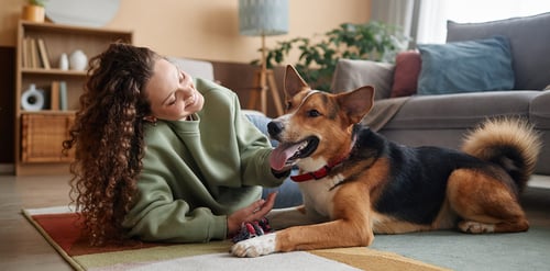 Artritis en perros: Todo lo que debes saber ...