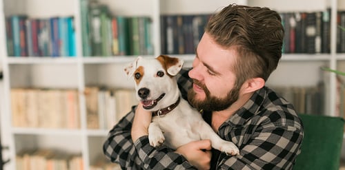 ¿Bañas a tu perro?, así puedes cuidar la ...