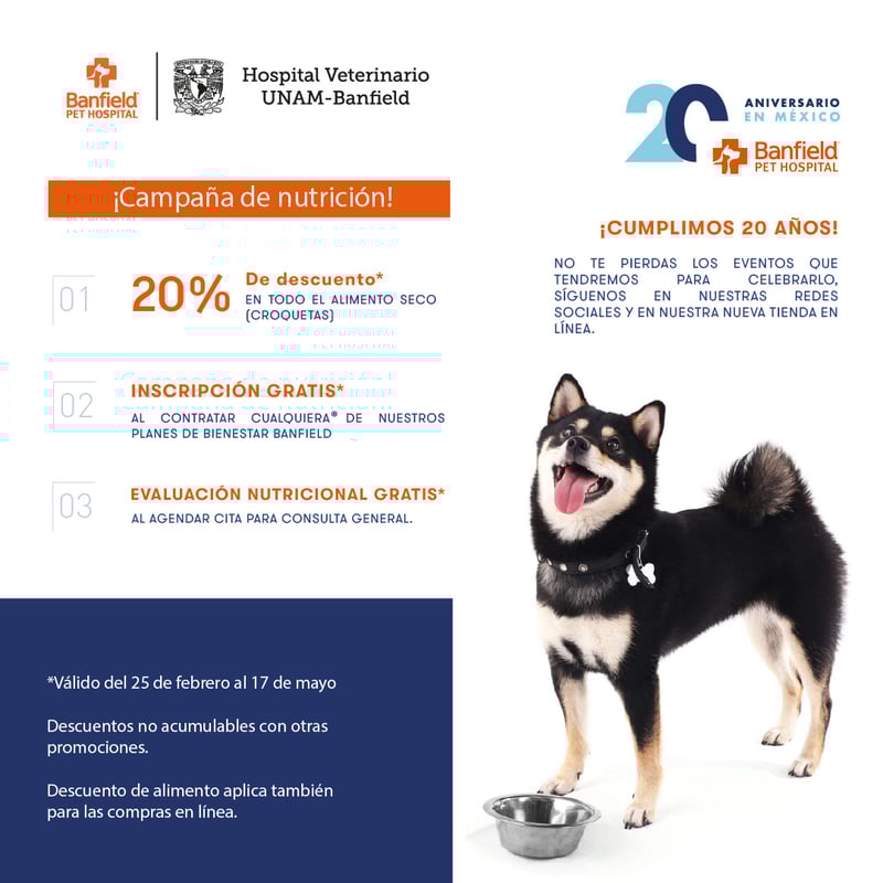 Campaña nutrición