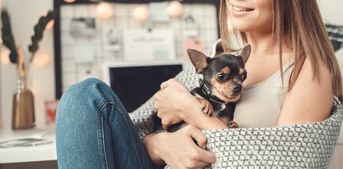 Kit de primeros auxilios para mascotas: ¿Qué ...