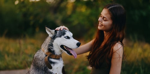Mal aliento en perros, ¿por qué pasa y cómo ...