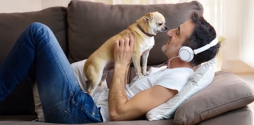 Mascotas en edad avanzada y afecciones ...
