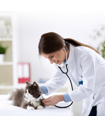 Veterinario nutricionista en CDMX