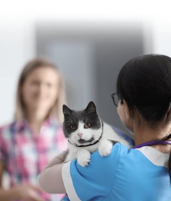 Medicina Interna