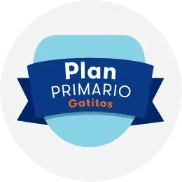 Plan primario para gatitos