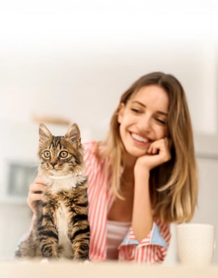 Planes de salud para gatos