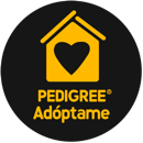 Pedigree adóptame