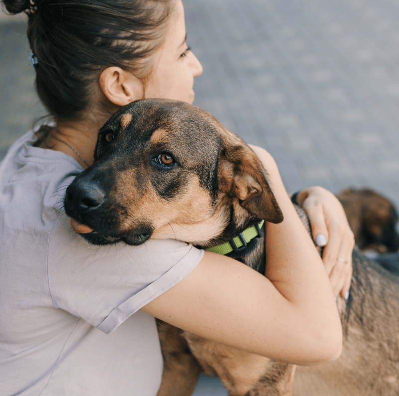 Adopción responsable