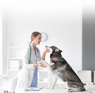 Banfield Access Care